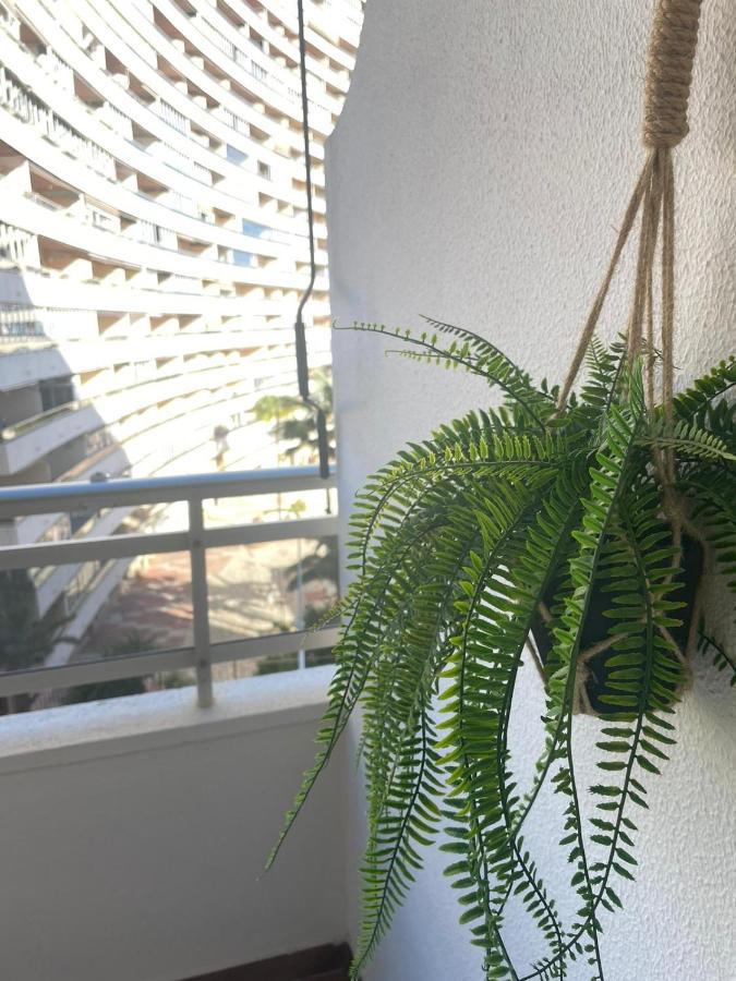 Vive El Mediterraneo - Apartamento Con Piscina En Cullera Εξωτερικό φωτογραφία